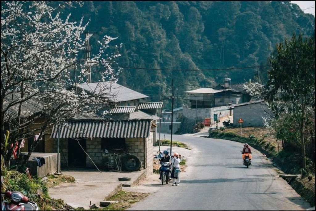 con đường đi tới trái tim - Ha Giang