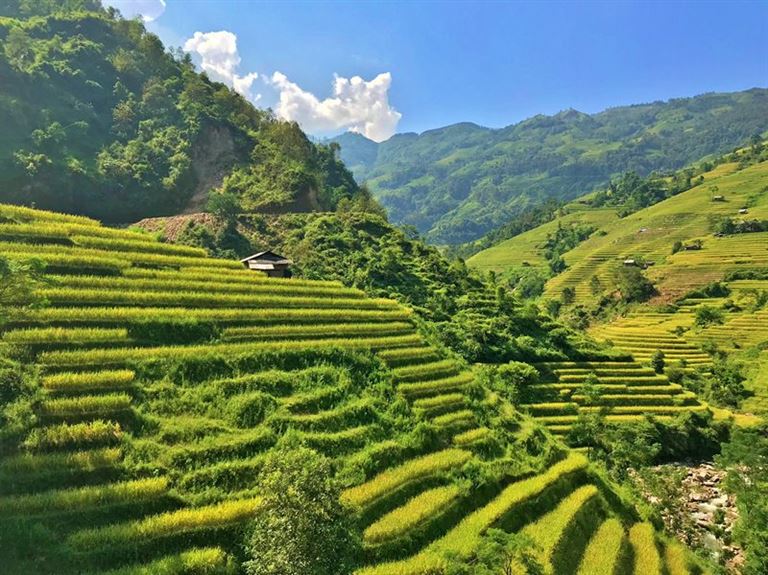 chợ phiên - Hoang Su Phi