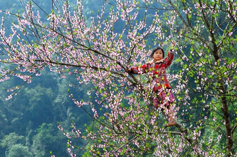 mùa xuân tơi - ha Giang