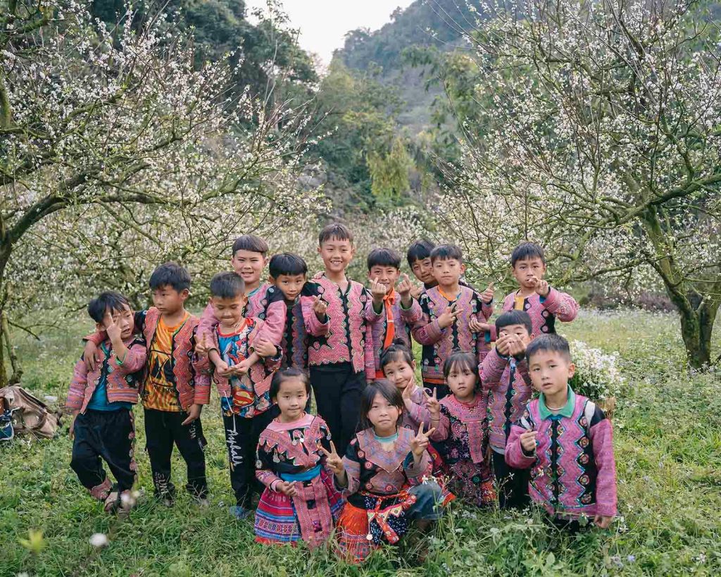 hoa mạn - Ha Giang