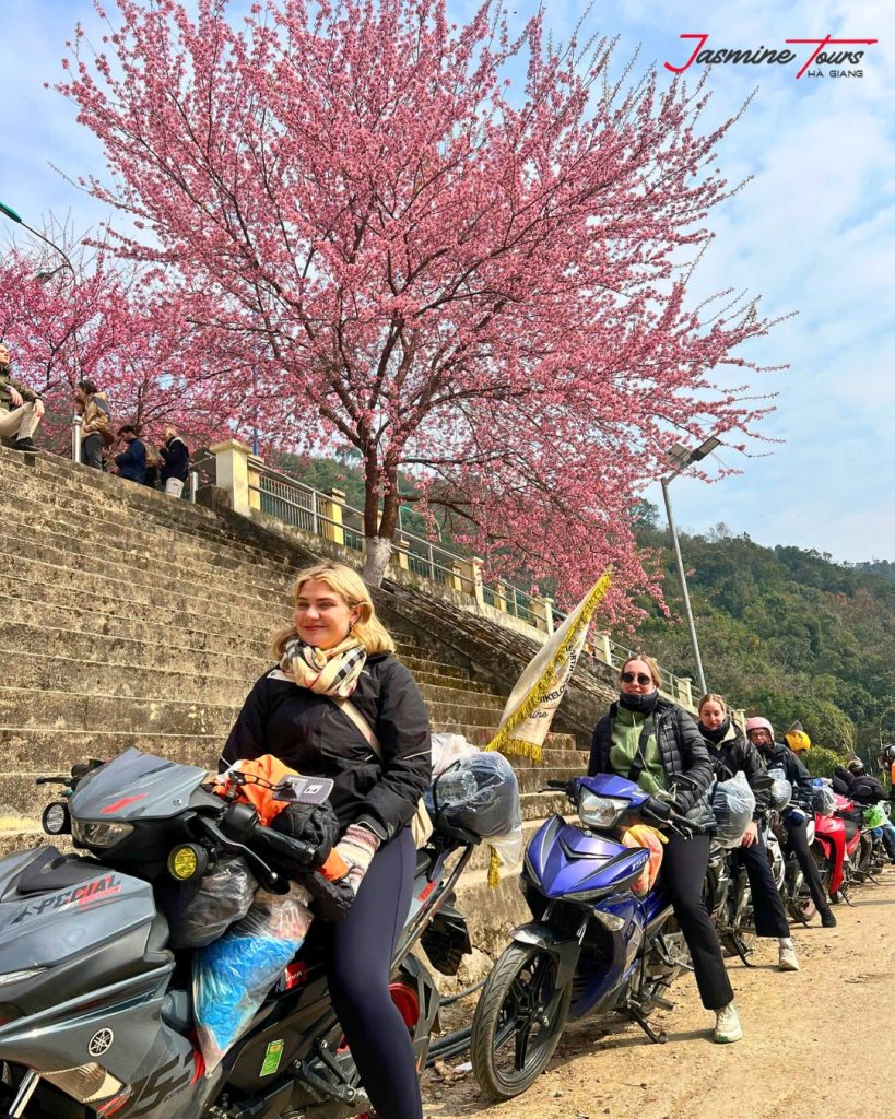 hoa anh dao - ha giang